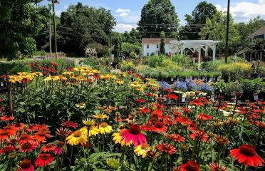 Greenbrier Greenhouse
