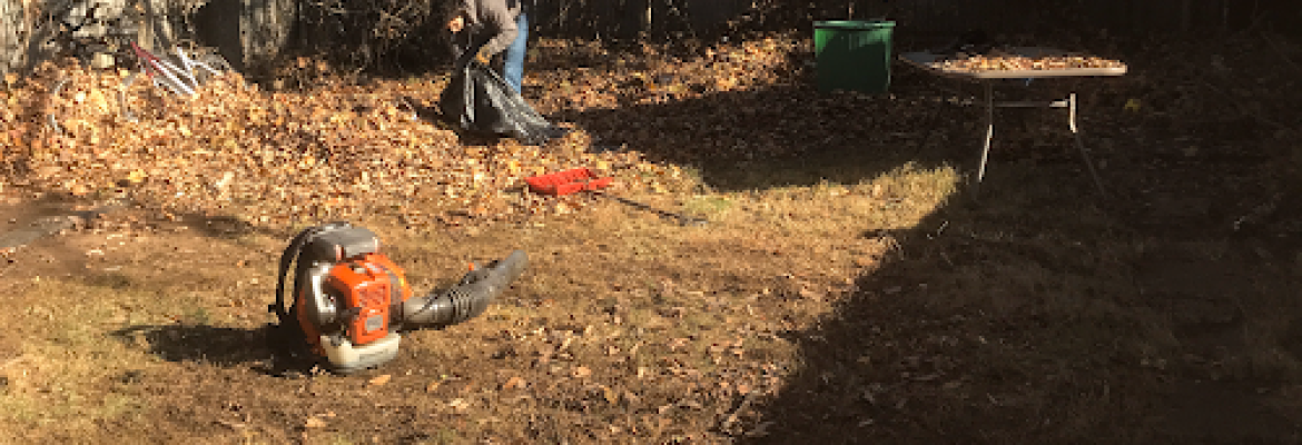 Oddjobs Handymen llc