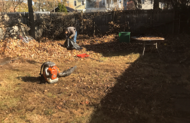 Oddjobs Handymen llc