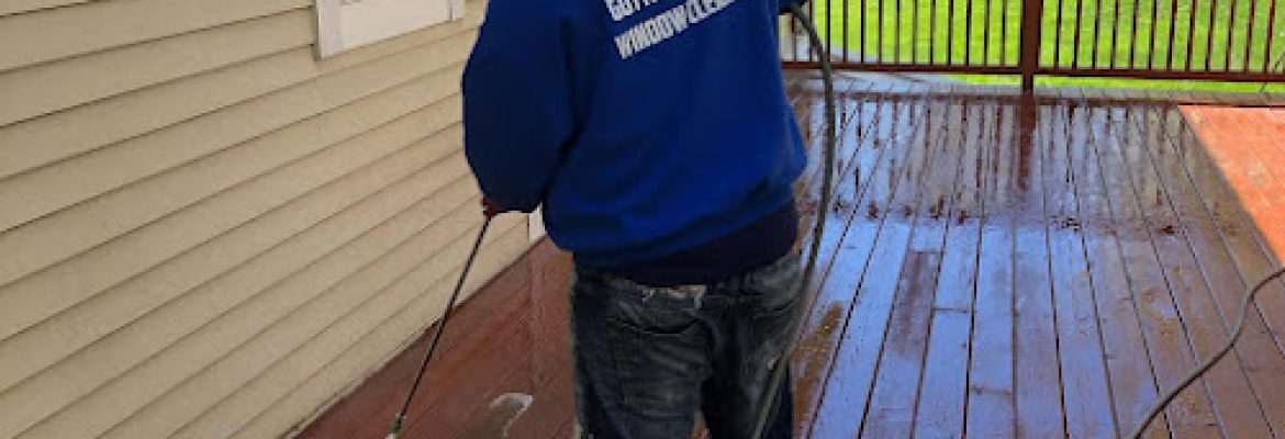 Expert Cleaning
