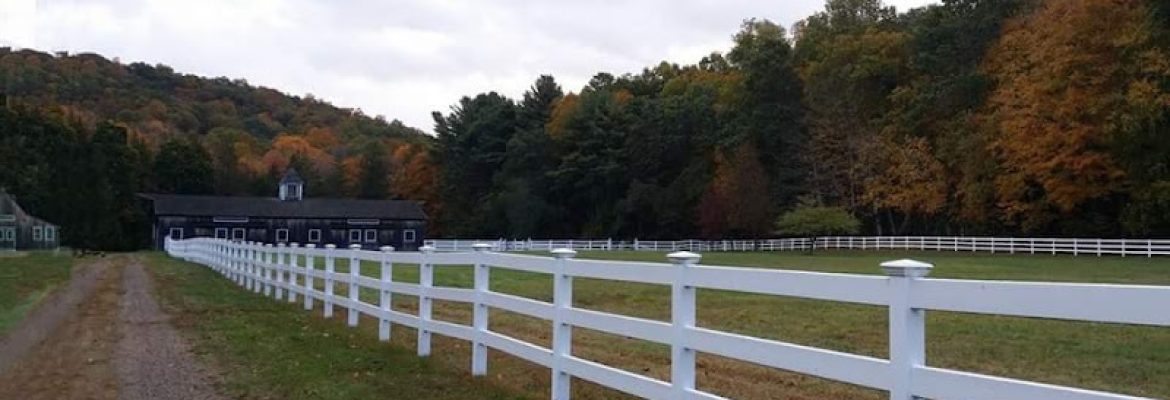 Zichichi Family Farm