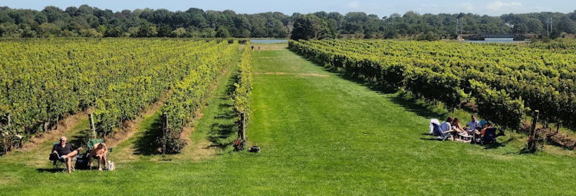 Saltwater Farm Vineyard