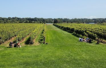 Saltwater Farm Vineyard