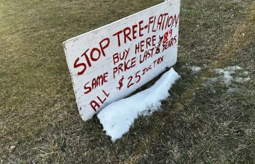 Morton’s Christmas Trees