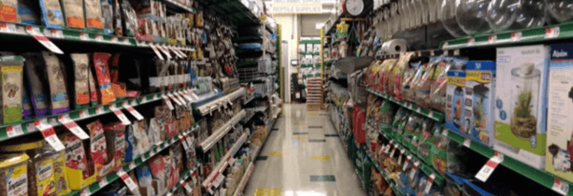 Pet Supplies Plus Bristol