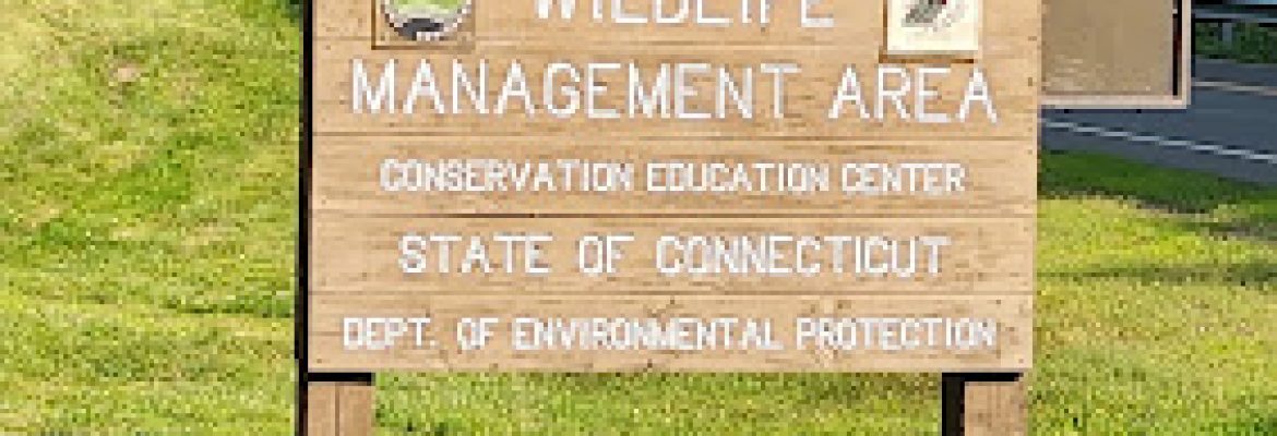 Sessions Woods Wildlife Management