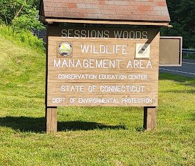 Sessions Woods Wildlife Management