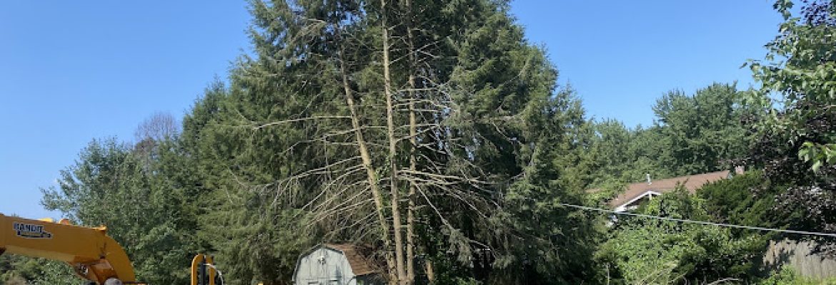 N & G Landscaping LLC