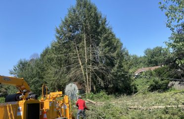 N & G Landscaping LLC