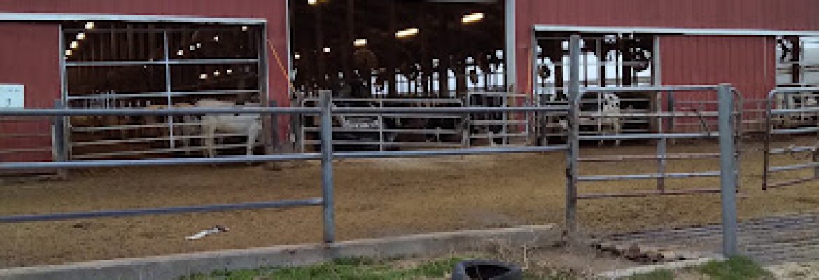 Fairvue Farms LLC