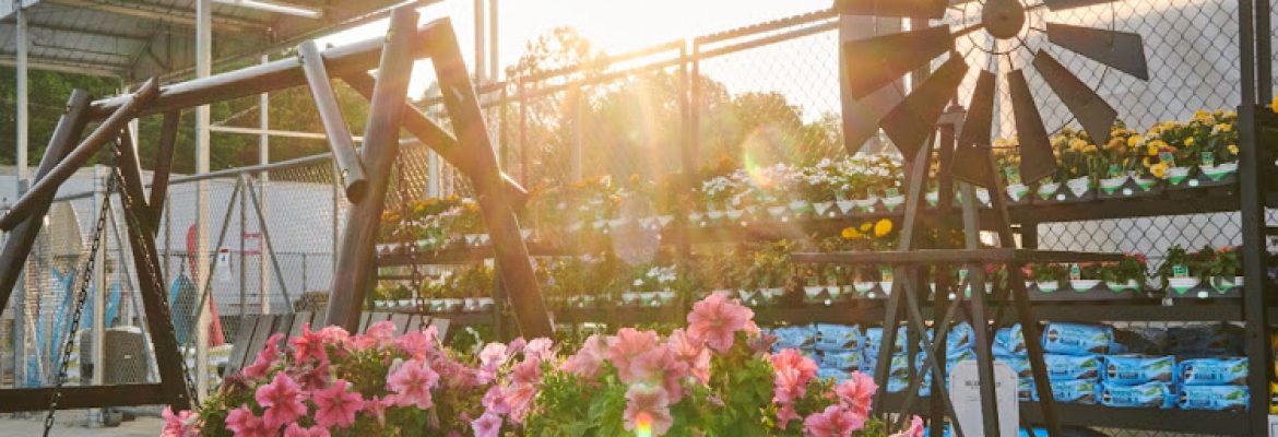 Garden Center at Tractor Supply