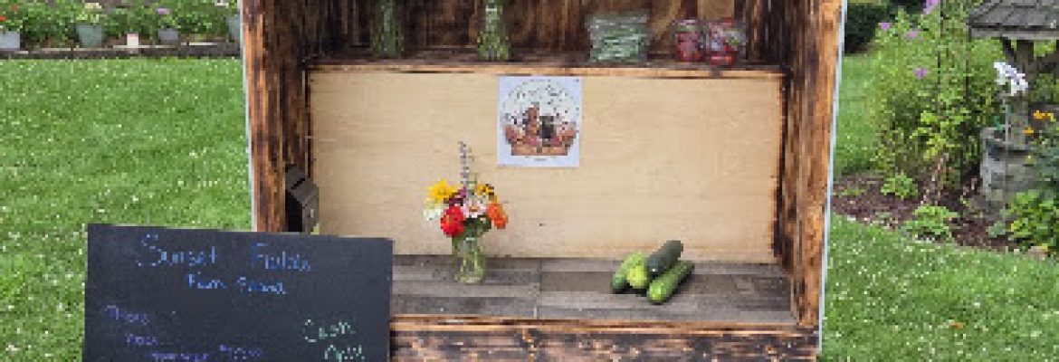 Sunset Fields Farm Stand