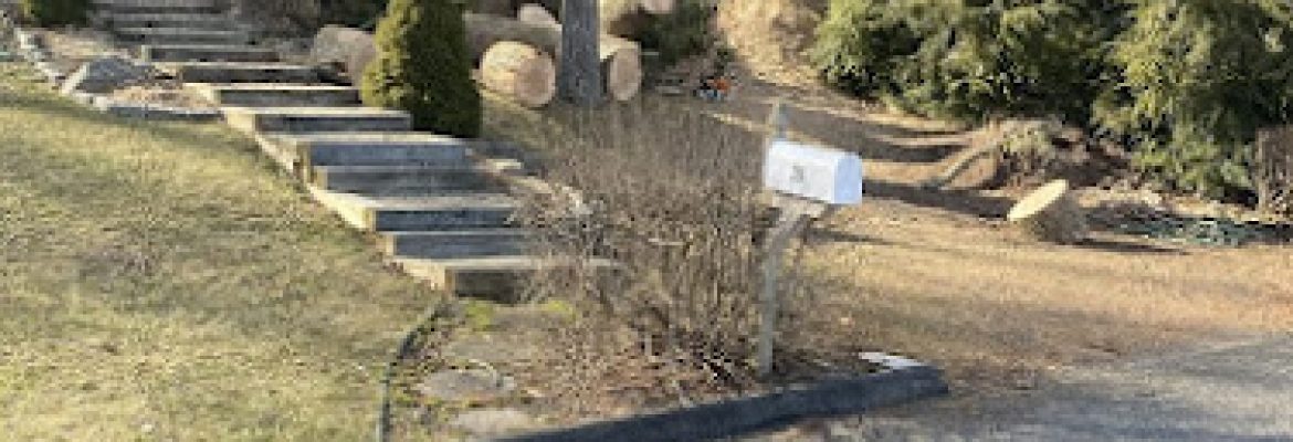 Olmedo Tree Service