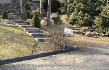 Olmedo Tree Service