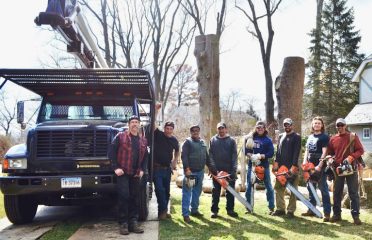 Brown & Co Tree Specialists