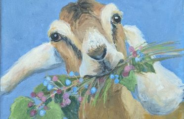 Lori Racicot Art