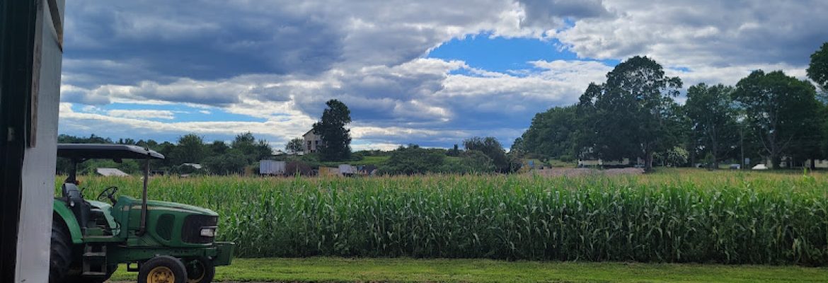 Brookfield Farm