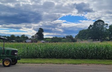 Brookfield Farm
