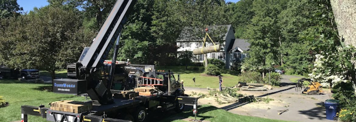 E.L.M. Tree Service Inc.