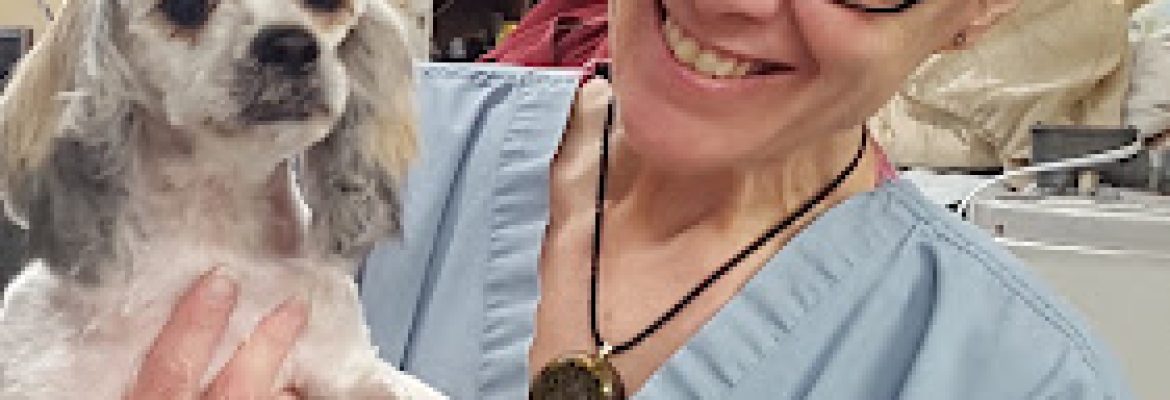 Connecticut Veterinary Center