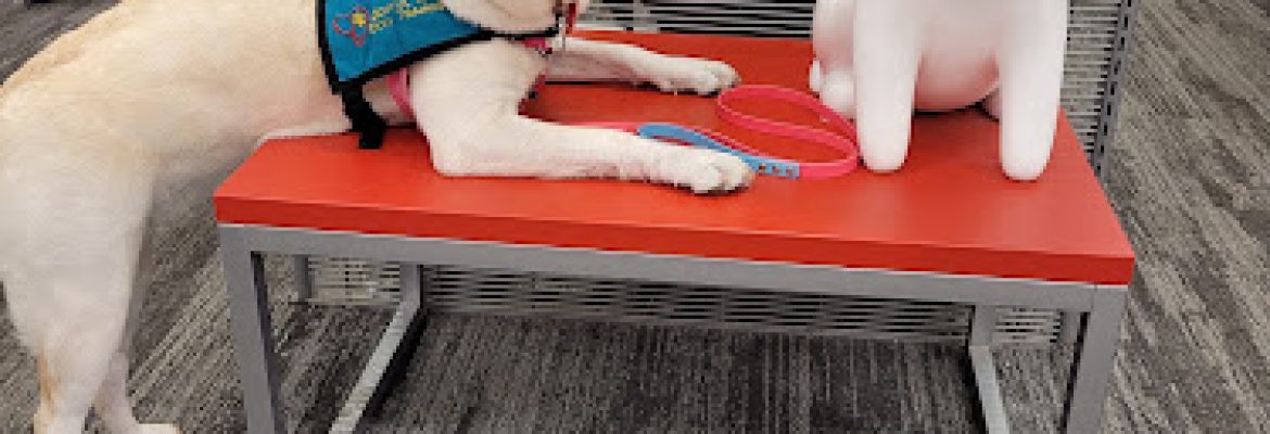 Joyful Paws Service Dogs