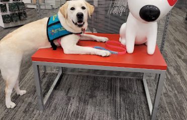 Joyful Paws Service Dogs