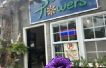 Sol Flowers