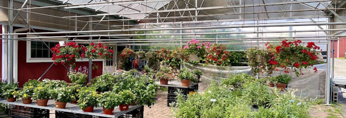Arisco Farms