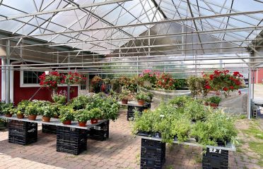 Arisco Farms