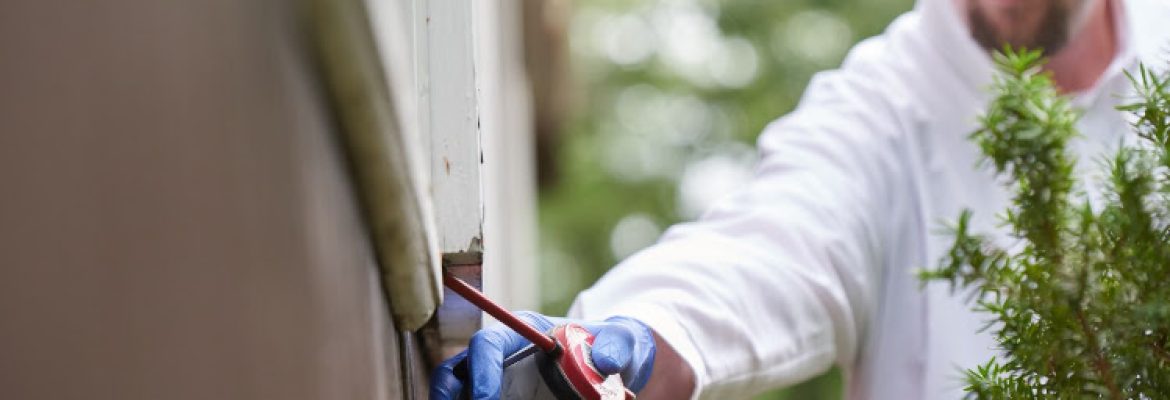 Modern Pest Services