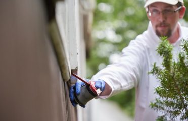 Modern Pest Services