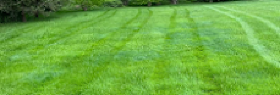 Hoyt Landscaping of New Canaan