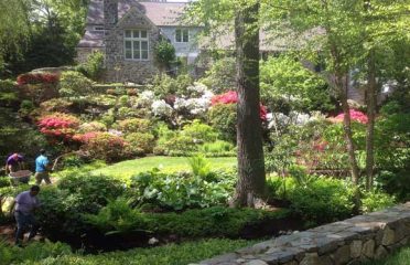 Les Arbres Tree Service & Fine Gardening