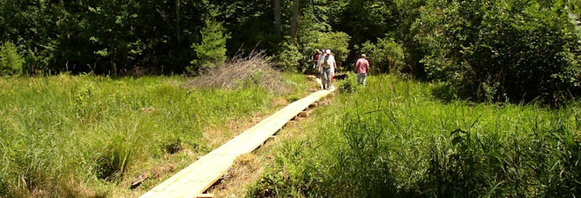 Harwinton Land Trust – Meadowview property