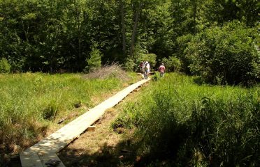 Harwinton Land Trust – Meadowview property