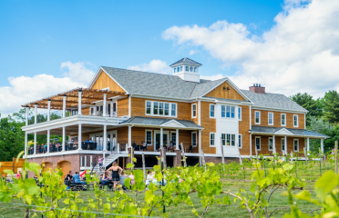 Brignole Vineyards