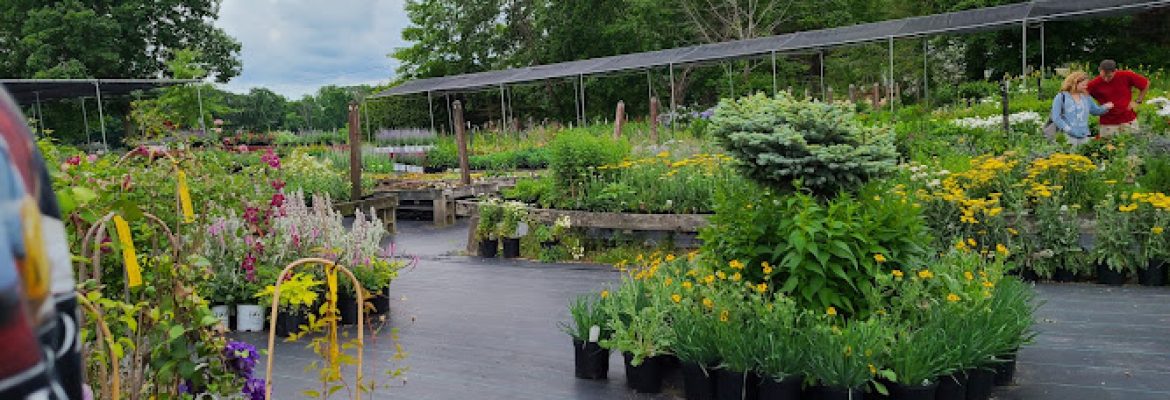 Ballek’s Garden Center