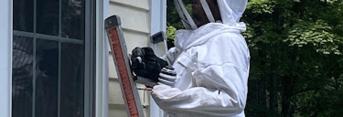 CT Pest Solutions