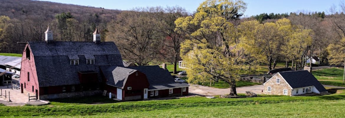The Vineyard At Hillyland