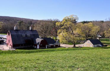 The Vineyard At Hillyland