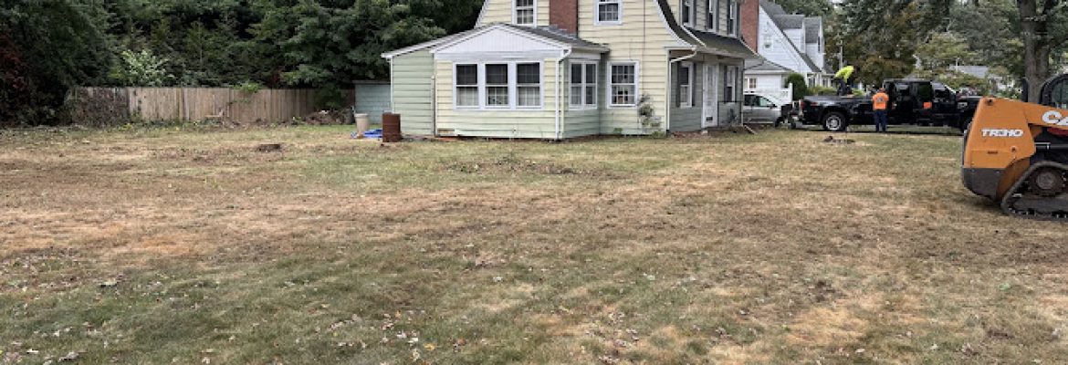 SKJ Tree Removal