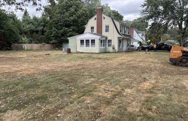 SKJ Tree Removal