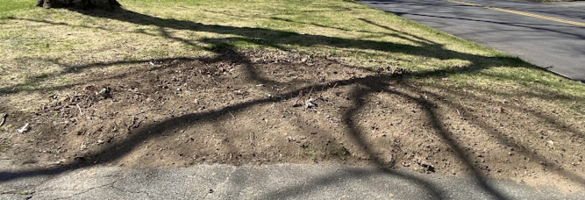Farmington Valley Stump Grinding and Land Services