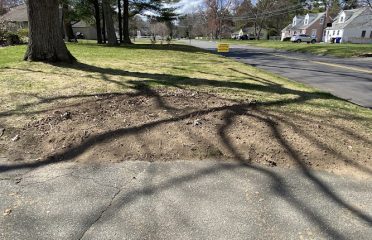 Farmington Valley Stump Grinding and Land Services
