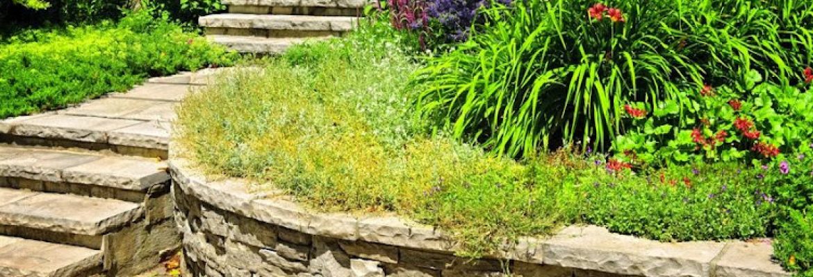 A & J Landscaping LLC