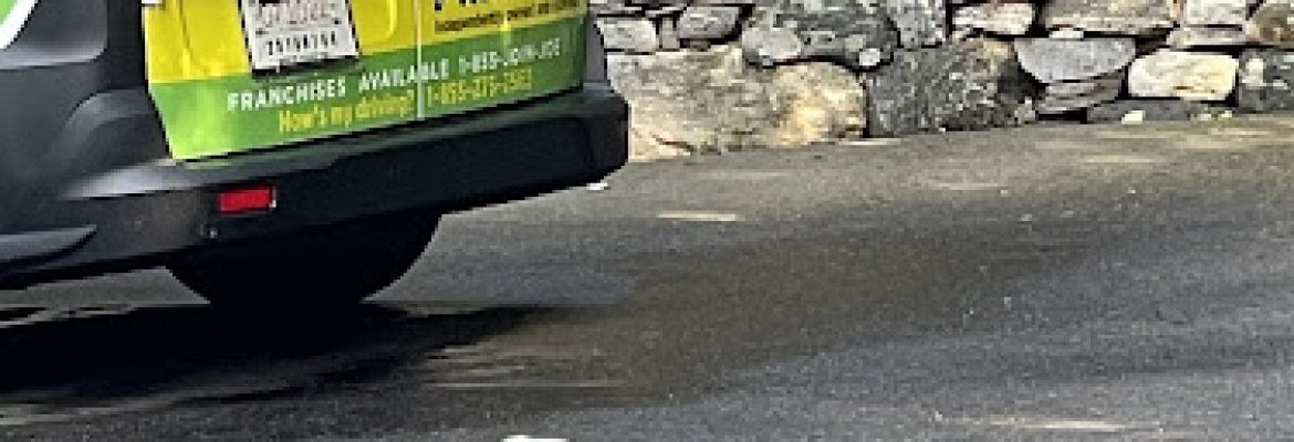 Mosquito Joe of Central Connecticut