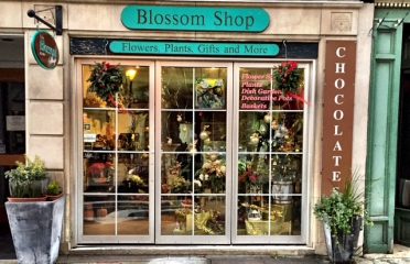 BLOSSOM SHOP