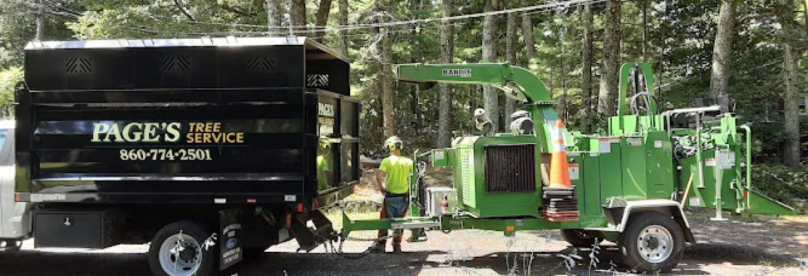 Page’s Tree Service LLC