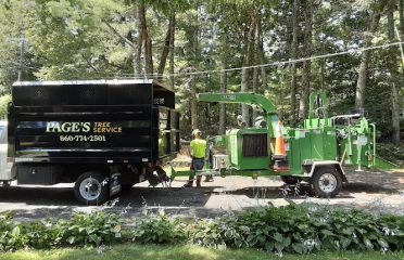 Page’s Tree Service LLC