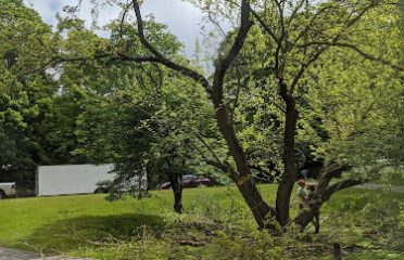 CONNECTICUT Landscape & Tree